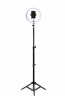 Кольцевая  LED лампа SMX-33 (33см) + держатель для телефона + Штатив